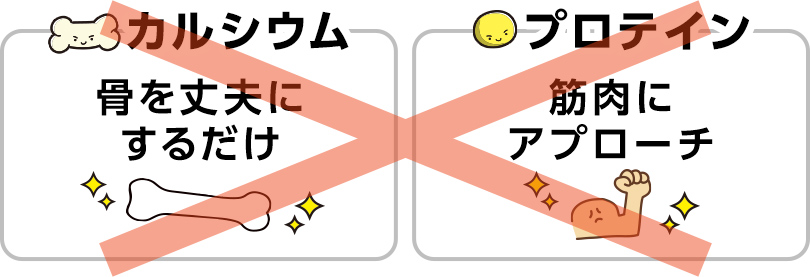 カルシウム…骨を丈夫にするだけ　プロテイン…筋肉にアプローチ